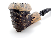 Spruce Freehand - Black Stem (004) by Erik Nording